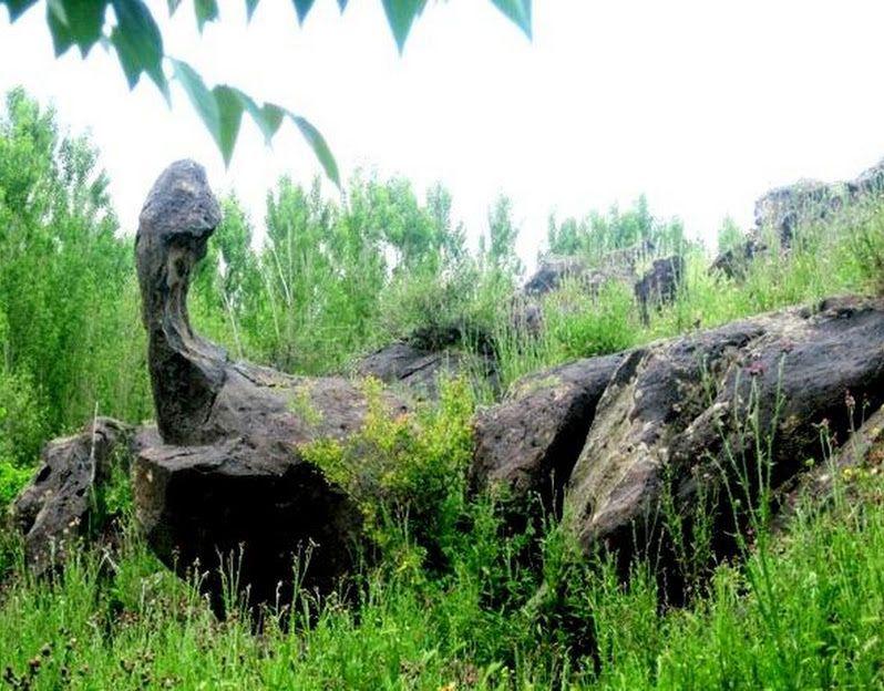 Dinosaur Hill
